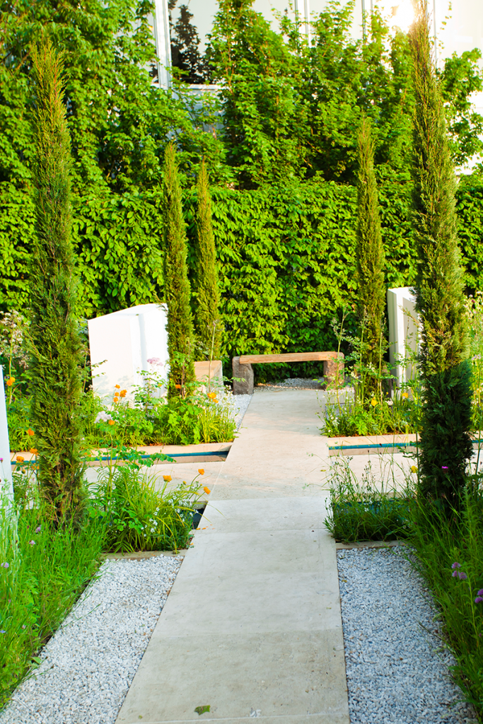 Textur Farbe Wuchs - Hecken Wachsende Wände - aquis casa | Ihr Magazin